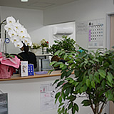竹原歯科医院のイメージ2